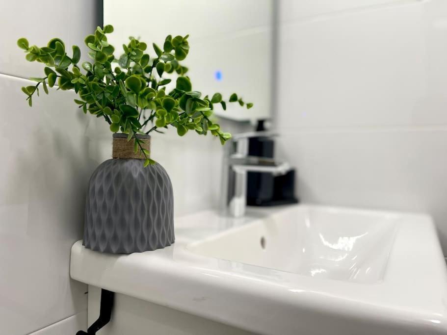 Apartament Elegancia Junto Al Rectorado. Kordoba Zewnętrze zdjęcie