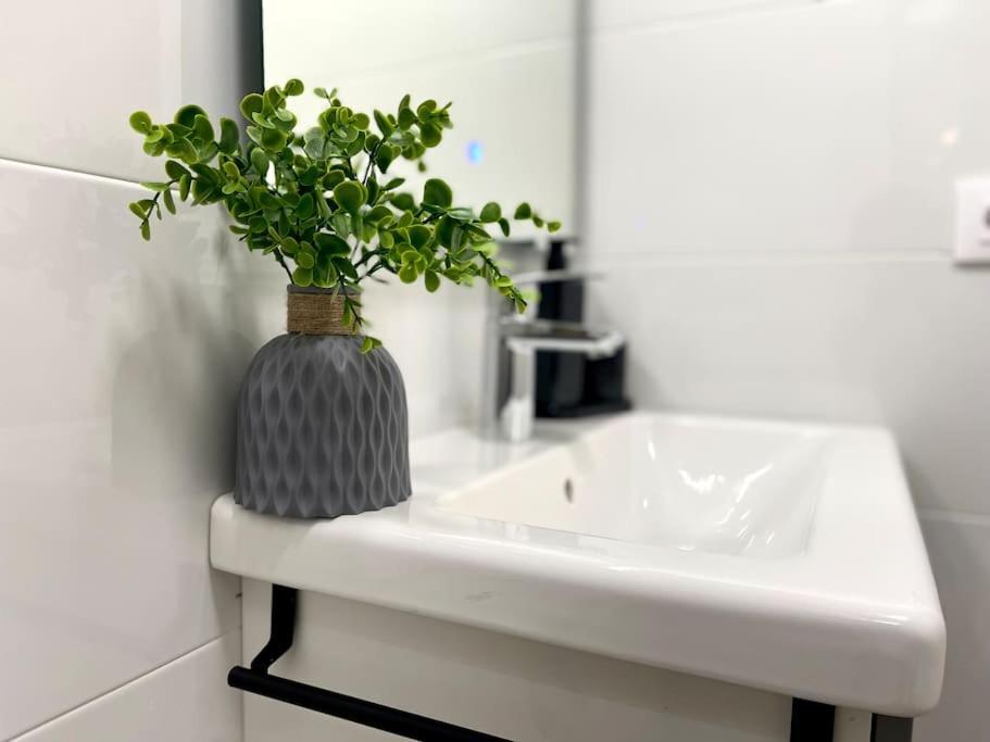 Apartament Elegancia Junto Al Rectorado. Kordoba Zewnętrze zdjęcie