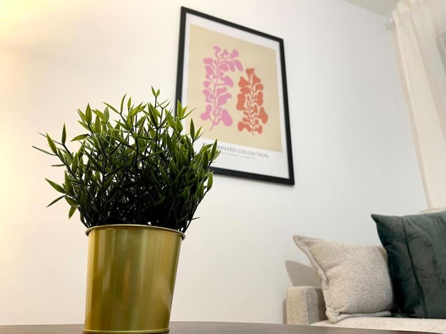 Apartament Elegancia Junto Al Rectorado. Kordoba Zewnętrze zdjęcie