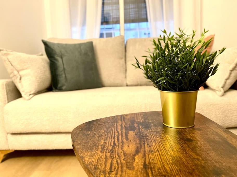 Apartament Elegancia Junto Al Rectorado. Kordoba Zewnętrze zdjęcie